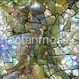 mactan-blacklip-pearl-2x2