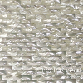 trochus-mother-of-pearl-tile-bricklay